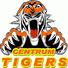 辛卓老虎